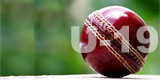 Cricket ball